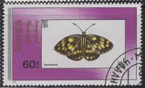 [Butterflies, Typ BYQ]