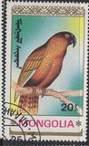 [Parrots, type BYE]