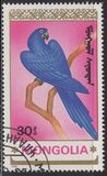 [Parrots, type BYF]