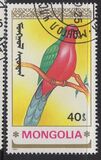 [Parrots, type BYG]