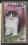[Cats, Tip CDV]