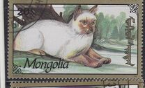 [Cats, Tip CDU]