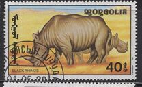 [African Wildlife, 類型 CCN]