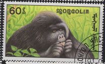 [African Wildlife, 類型 CCP]
