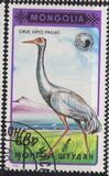 [Birds - White-naped Crane, тып BWM]