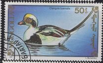[Chicken, Geese and Birds, type CBH]