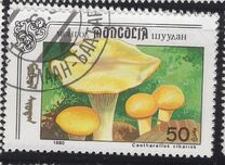 [Mushrooms, тып CCX]