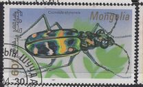 [Beetles, type CBZ]