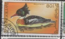 [Chicken, Geese and Birds, type CBJ]