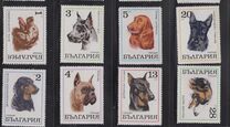[Dogs, type BQT]