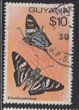 [Butterflies, type IT]