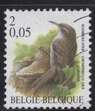 [Birds, タイプ CII]