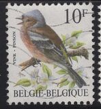 [Birds, نوع BNI]