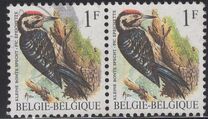 [Birds, نوع BNH]