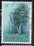 [Trees - Nature Protection Year, type ALO]