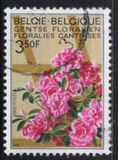 [flowers - Botanical Garden in Gent, Tipi ALM]