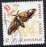 [Butterflies & Moths, type BTG]