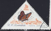 [Butterflies & Moths, type BTH]