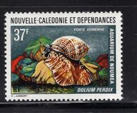 [Noumea Aquarium, タイプ JC]