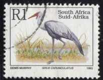 [Endangered Fauna, typ AEC]