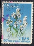 [Airmail - Flowers, type KV]