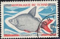 [Fish, tegund HP]