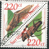 [Fauna - Insects, тып BHN]