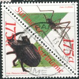 [Fauna - Insects, тып BHN]