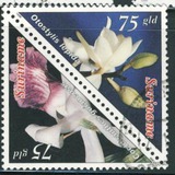 [Flowers - Orchids, tip BLC]