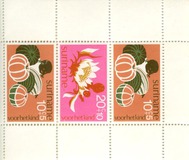 [Child Welfare, 类型 AFG]