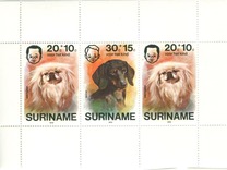 [Child Welfare - Pet Dogs, type AHD]