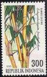 [The 4th International Bamboo Congress, Ubud, Bali, тып BHH]