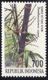 [The 4th International Bamboo Congress, Ubud, Bali, тып BHI]