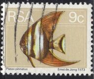 [Flora and Fauna, type NN]
