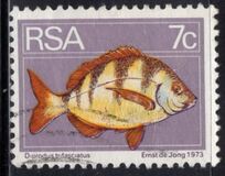 [Flora and Fauna, type NM]
