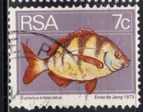 [Flora and Fauna, type NM]