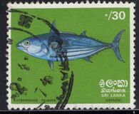 [Fish, type F]