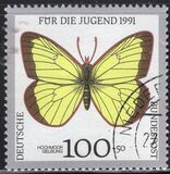 [Youth Hostel - Butterflies, Scrivi AWP]