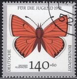 [Youth Hostel - Butterflies, Scrivi AWQ]