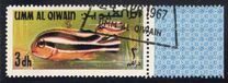 [Fish of the Arabian Gulf, 유형 FQ]