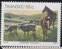 [Xhosa Culture, type GT]