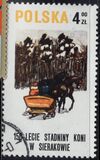 [The 150th Anniversary of Horse Riding in Sieraków, タイプ CGW]