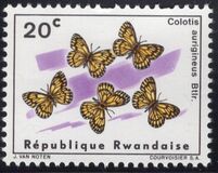 [Butterflies, tip AS]