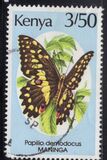 [Butterflies, tyyppi PH]
