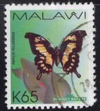 [Butterflies, 类型 ZW]