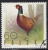 [Bird Game, Tüüp BGV]