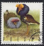 [Bird Game, Tüüp BGX]