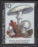 [Poisonous Mushrooms, type EKM]