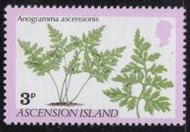 [Ferns and Grasses, type GL]