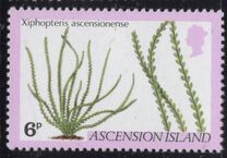 [Ferns and Grasses, type GM]